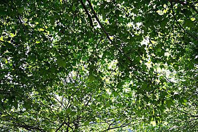 全新宣传片！手绘和风动作游戏《愚灵》正式开放试玩版