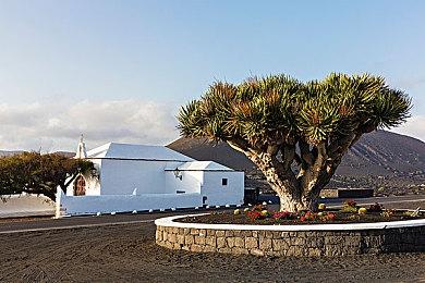 免费在线战争游戏《狂战士》5月18日登陆PS5和Xbox Series